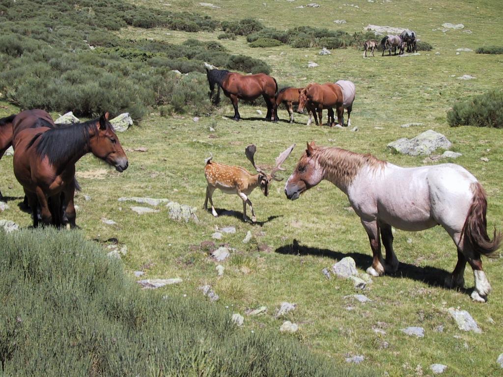 La Coberta-Lo Paller Del Coc Rialp Exterior foto